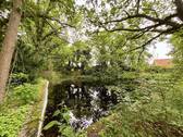 Naturschwimmteich - 