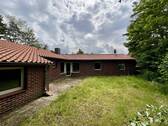Blick aus dem Garten - 