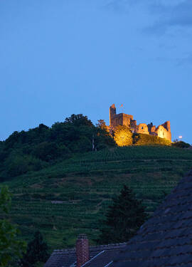 Burgblick - Mehrfamilienhaus, Wohnhaus mit 91,00 m&sup2; in Staufen im Breisgau zum Kaufen