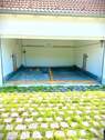 Option obere Duplex Garage - 