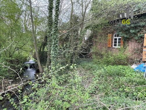 Bachlauf - 