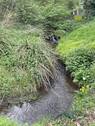Bachlauf - 