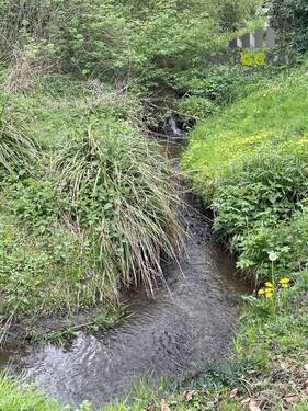 Bachlauf - 