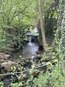 Bachlauf - 