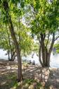 Unmittelbare Umgebung an der Spree - 