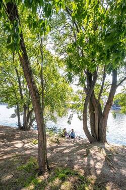 Unmittelbare Umgebung an der Spree - 