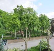 Single- und Pärchenwohnung direkt am Park! - Bad Lippspringe