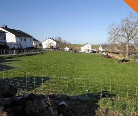 Bild 2 - 5 Zimmer Einfamilienhaus zum Kaufen in Wabern
