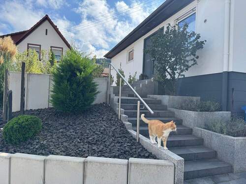 Treppe Eingangsbereich Außen - 