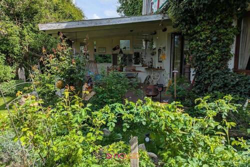 Blick auf die Terrasse - 