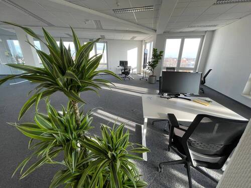 Arbeitsplatz im offenen Bereich - Moderner Open-Space-Arbeitsplatz mit Dachterrasse und Stadtblick Reinickendorf