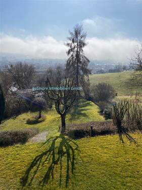 Blick in den Garten - 