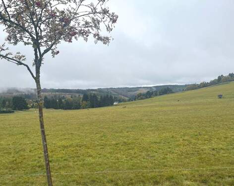 Ausblick - Grundstück zum Kaufen in Cursdorf