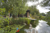 Schwimmteich Bild 1 - 