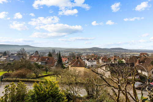 Fernblick - 
