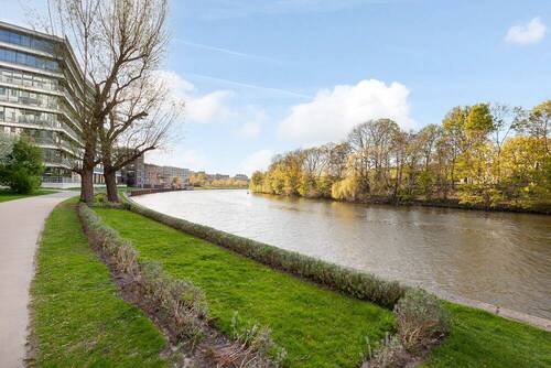 Wasserzugang Spree - 