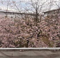 Charmante 1,5-Zimmer-Wohnung mit Tiefgarage am Olympiapark - ruhig & zentral zugleich - München Neuhausen-Nymphenburg