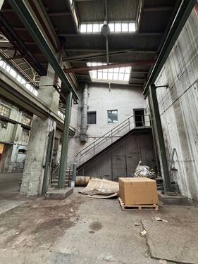 PHOTO-2025-08-20-17-55-09.jpg - 