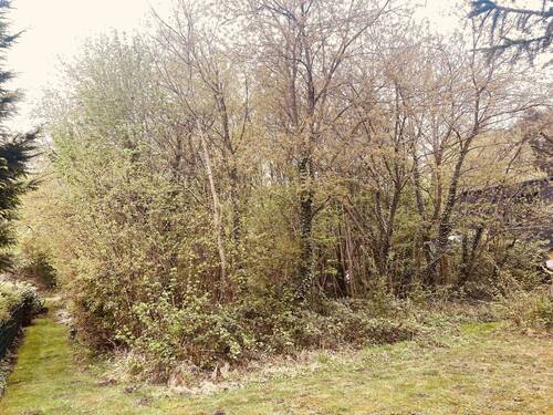 Grundstück Quickborn - Schwartmoorallee (5).jpg - Grundstück in Quickborn zum Kaufen