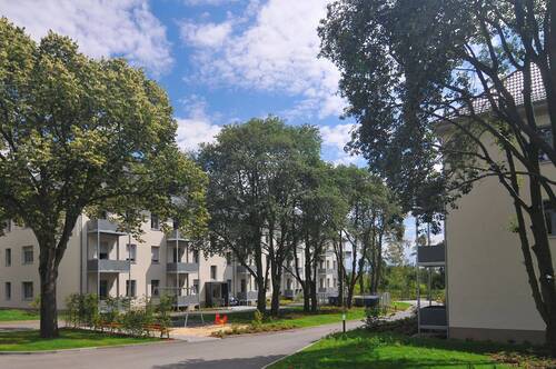 Hauseingänge - 2 Zimmer Etagenwohnung zur Miete in Weimar
