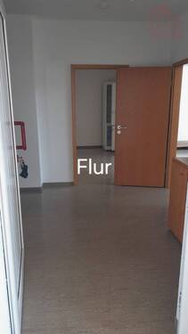 IMG-20251107-WA0006 - 