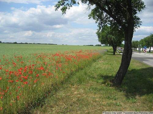 Seeburger Landschaften - 