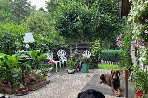 Garten (Sommer) - 5 Zimmer Einfamilienhaus in Stuhr