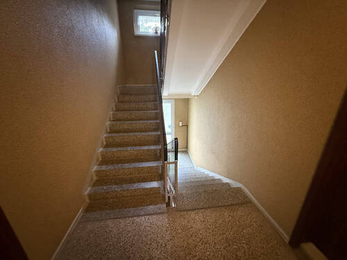 Bild19 - 