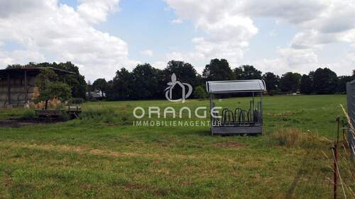 Weideland (bis zur hinteren Baumreihe) - 