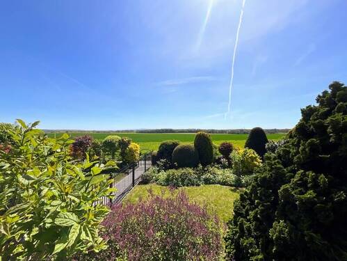 Blick von der Terrasse - 