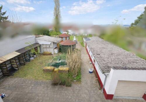 Bild 3 - 6 Zimmer Einfamilienhaus in Ingelheim am Rhein