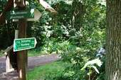 Umgebung Wanderwege - 