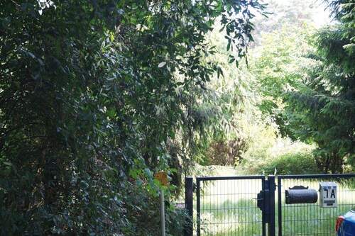 Grundstück Zufahrt - Grundstück zum Kaufen in Bad Saarow