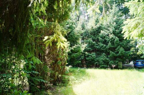 Grundstück vorderer Bereich - Grundstück in Bad Saarow