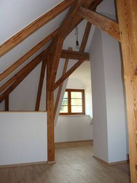 Dachspitz - 