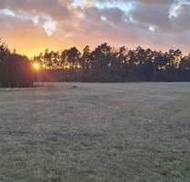 Baugrundstück mit schönem Grünblick – ideal für Ihr Traumhaus - Rüdersdorf bei Berlin