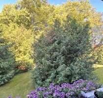 Idyllische Lage - Drei-Zimmerwohnung mit West-Loggia im Hochparterre! - Bremen Lehesterdeich Idyllische Lage - Drei-Zimmerwohnung mit West-Loggia im Hochparterre! - Bremen Lehesterdeich