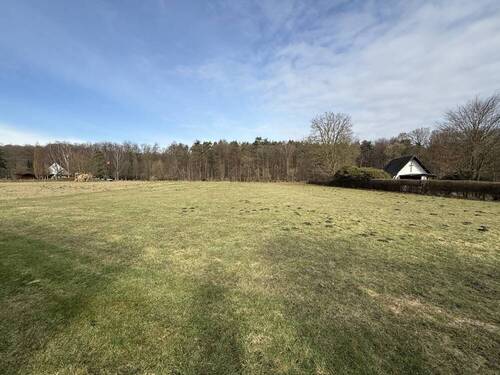 Garten (hinten) - 