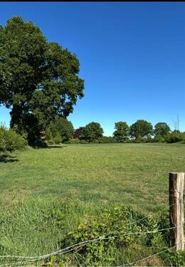 Blick auf Naturschutzgebiet - 
