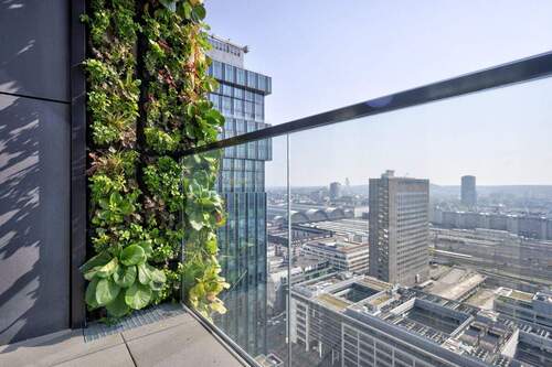 Frankfurt - 