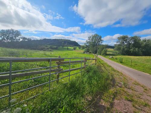 20240807_170016.jpg - Top Baugrundstück unverbaubare Sicht