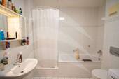 IMG_3611 - 