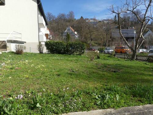 Wiese - 