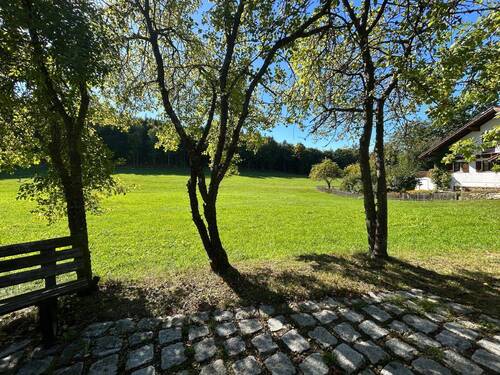 Bild 2 - Grundstück zum Kaufen in Traitsching