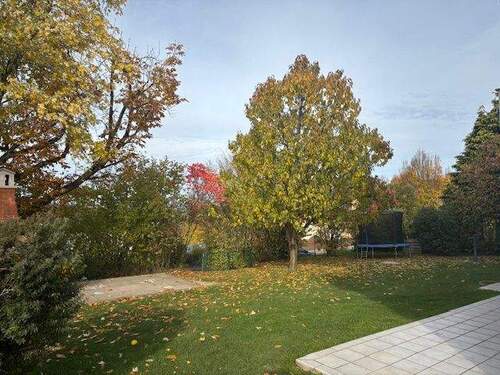 Gemeinschaftsgarten.jpg - 