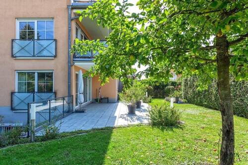 Blick auf die Terrasse - 