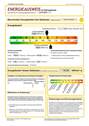 Energieausweis S.2 - 
