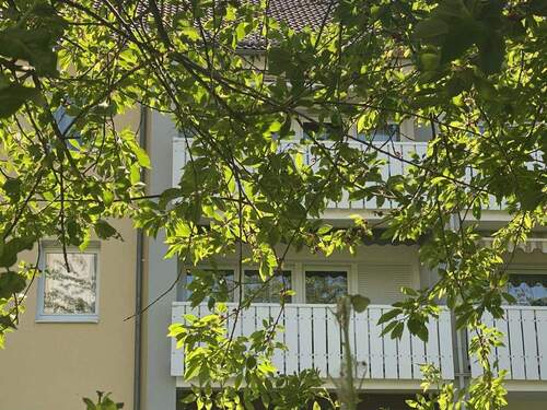 Bild3 - 4 Zimmer Etagenwohnung in Riesa