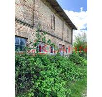 Großzügiges Grundstück zwischen Wiesen und Feldern - Zepelin / Oettelin