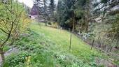 Blick ins Grundstück - 